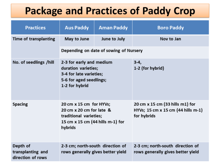 Package and Practices of Paddy Crop for transplanting