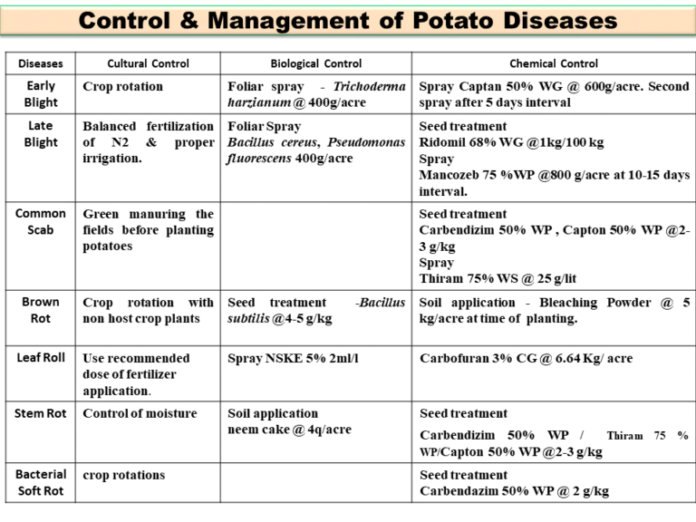 Control & Management of Potato Diseases