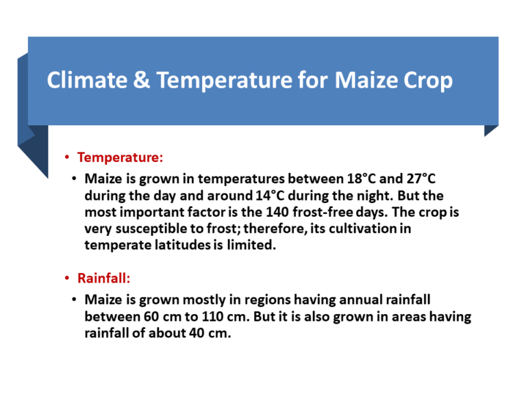 Climate & Temperature for Maize Crop
