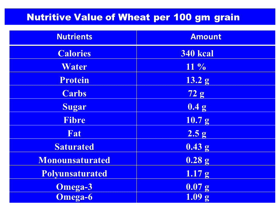 nutritive-value-of-wheat-per-100-gm-grain