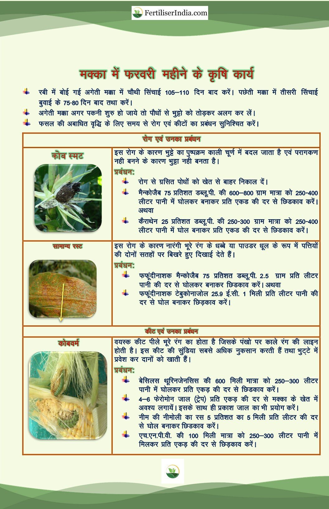 Maize Monthly Agricultural Activity: February