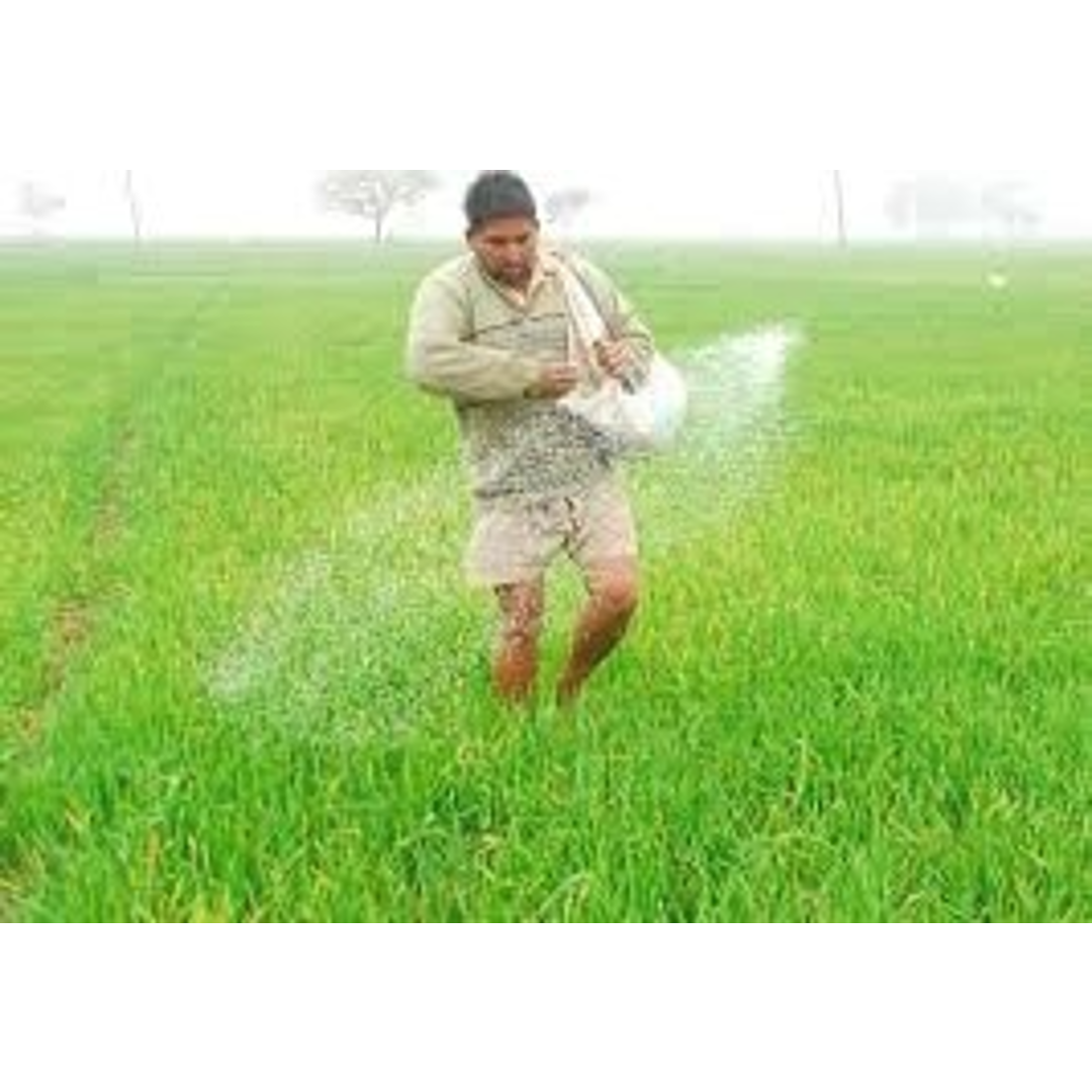 You are currently viewing India’s next move in fertilizer: One Nation One Fertilizer