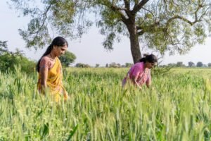 Read more about the article India Ensures Smooth Fertilizer Supply for Kharif 2025 – Despite Global Turbulence
